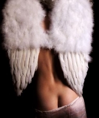 аватарка для контакта крылья ангела