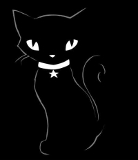 аватарка для контакта черная кошка