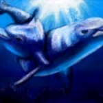 рисунок дельфины