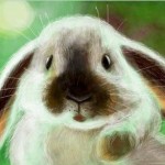 рисунок кролик