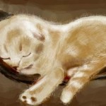 рисунок спящий котенок