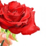 рисунки на стену в контакте дарю тебе розу